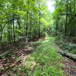 Photo #26 of SOLD property in Off Stoneridge Drive, Stem, NC 23.9 acres