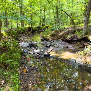 Photo #30 of SOLD property in Off Stoneridge Drive, Stem, NC 23.9 acres