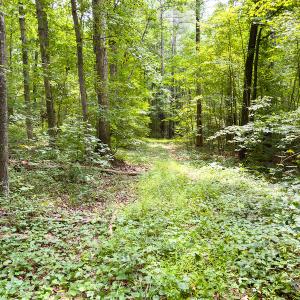 Photo #32 of SOLD property in Off Stoneridge Drive, Stem, NC 23.9 acres