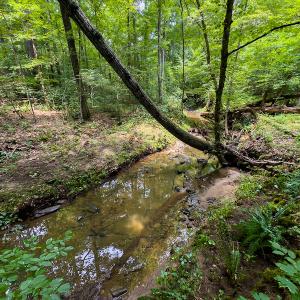 Photo #35 of SOLD property in Off Stoneridge Drive, Stem, NC 23.9 acres