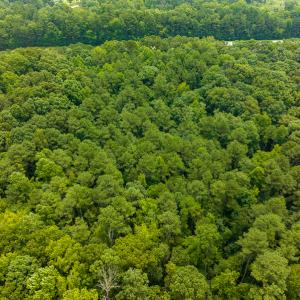 Photo #36 of SOLD property in Off Stoneridge Drive, Stem, NC 23.9 acres
