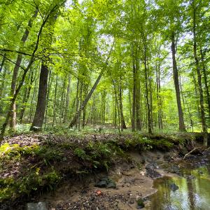Photo #39 of SOLD property in Off Stoneridge Drive, Stem, NC 23.9 acres