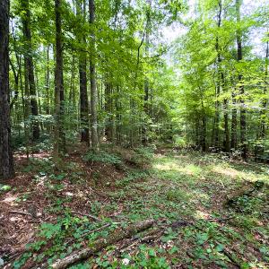 Photo #41 of SOLD property in Off Stoneridge Drive, Stem, NC 23.9 acres