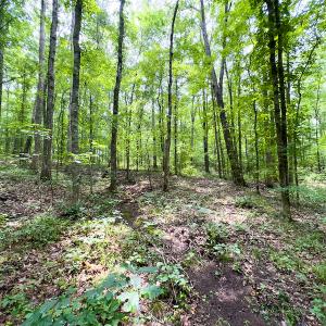Photo #43 of SOLD property in Off Stoneridge Drive, Stem, NC 23.9 acres