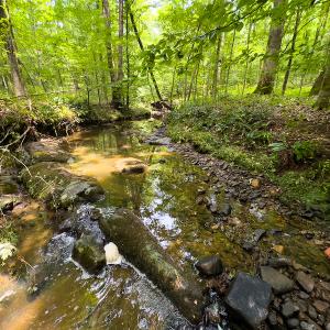 Photo #45 of SOLD property in Off Stoneridge Drive, Stem, NC 23.9 acres