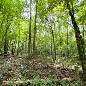 Photo #47 of SOLD property in Off Stoneridge Drive, Stem, NC 23.9 acres