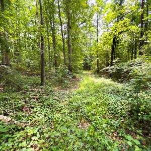 Photo #51 of SOLD property in Off Stoneridge Drive, Stem, NC 23.9 acres