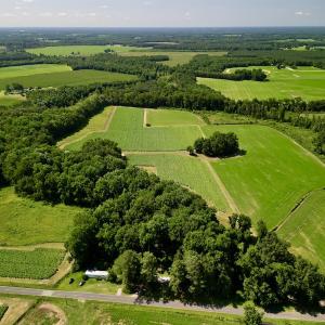 Photo #2 of SOLD property in Off Howell Swamp Church rd, Walstonburg, NC 26.1 acres