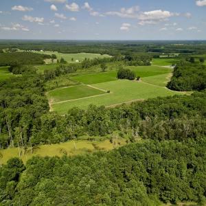 Photo #12 of SOLD property in Off Howell Swamp Church rd, Walstonburg, NC 26.1 acres
