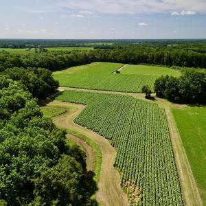 Photo #17 of SOLD property in Off Howell Swamp Church rd, Walstonburg, NC 26.1 acres