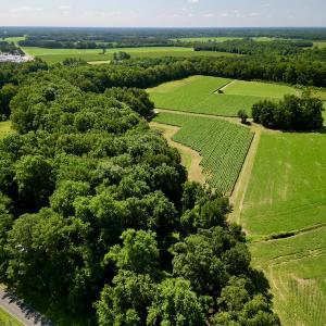 Photo #3 of SOLD property in Off Howell Swamp Church rd, Walstonburg, NC 26.1 acres