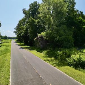Photo #28 of SOLD property in Off Howell Swamp Church rd, Walstonburg, NC 26.1 acres
