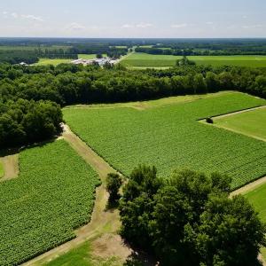 Photo #5 of SOLD property in Off Howell Swamp Church rd, Walstonburg, NC 26.1 acres