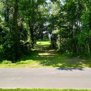 Photo #9 of SOLD property in Off Howell Swamp Church rd, Walstonburg, NC 26.1 acres