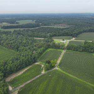 Photo #2 of SOLD property in Off Elkton Road, Clarkton, NC 45.6 acres