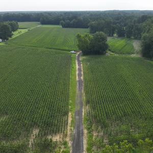 Photo #12 of SOLD property in Off Elkton Road, Clarkton, NC 45.6 acres
