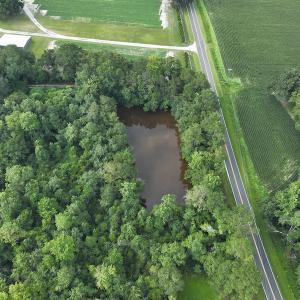 Photo #13 of SOLD property in Off Elkton Road, Clarkton, NC 45.6 acres