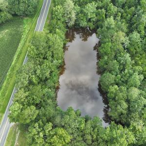 Photo #14 of SOLD property in Off Elkton Road, Clarkton, NC 45.6 acres