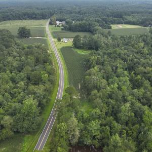 Photo #15 of SOLD property in Off Elkton Road, Clarkton, NC 45.6 acres