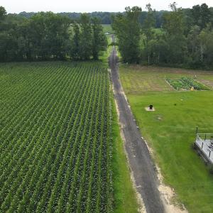 Photo #18 of SOLD property in Off Elkton Road, Clarkton, NC 45.6 acres