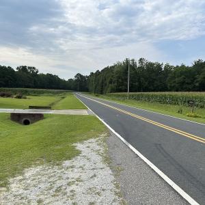Photo #20 of SOLD property in Off Elkton Road, Clarkton, NC 45.6 acres