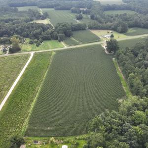 Photo #3 of SOLD property in Off Elkton Road, Clarkton, NC 45.6 acres