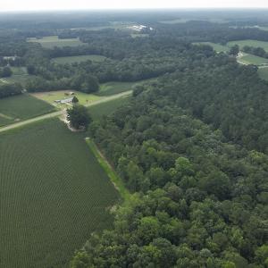 Photo #4 of SOLD property in Off Elkton Road, Clarkton, NC 45.6 acres