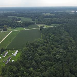 Photo #5 of SOLD property in Off Elkton Road, Clarkton, NC 45.6 acres
