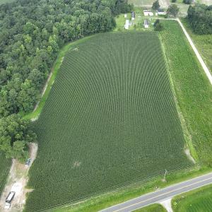 Photo #6 of SOLD property in Off Elkton Road, Clarkton, NC 45.6 acres