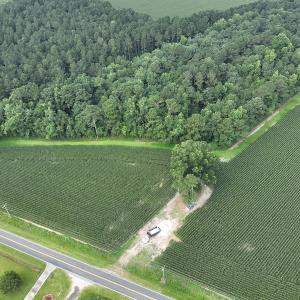 Photo #7 of SOLD property in Off Elkton Road, Clarkton, NC 45.6 acres