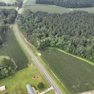 Photo #8 of SOLD property in Off Elkton Road, Clarkton, NC 45.6 acres