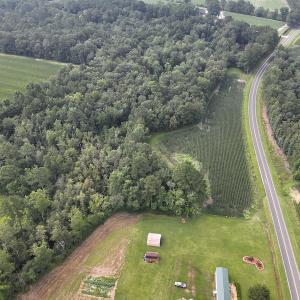 Photo #9 of SOLD property in Off Elkton Road, Clarkton, NC 45.6 acres