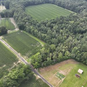 Photo #10 of SOLD property in Off Elkton Road, Clarkton, NC 45.6 acres