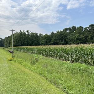 Photo #21 of SOLD property in Off Elkton Road, Clarkton, NC 45.6 acres