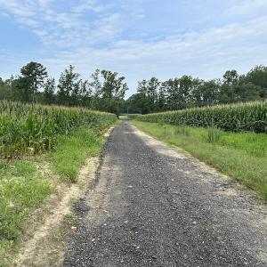 Photo #24 of SOLD property in Off Elkton Road, Clarkton, NC 45.6 acres