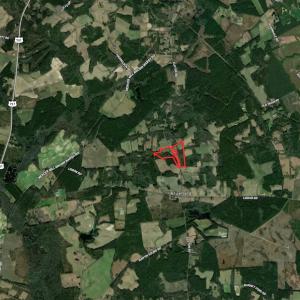 Photo #39 of SOLD property in Off Elkton Road, Clarkton, NC 45.6 acres
