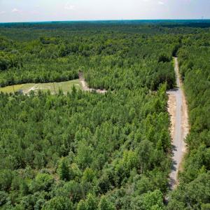 Photo #3 of SOLD property in Off Clifton Road, Beaverdam, VA 36.7 acres