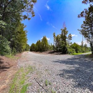 Photo #4 of SOLD property in Off Clifton Road, Beaverdam, VA 36.7 acres