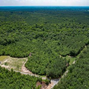 Photo #5 of SOLD property in Off Clifton Road, Beaverdam, VA 36.7 acres