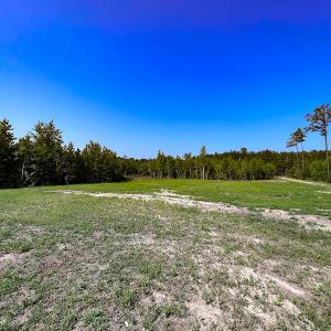 Photo #12 of SOLD property in Off Clifton Road, Beaverdam, VA 36.7 acres