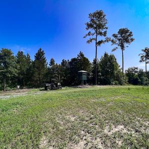 Photo #15 of SOLD property in Off Clifton Road, Beaverdam, VA 36.7 acres