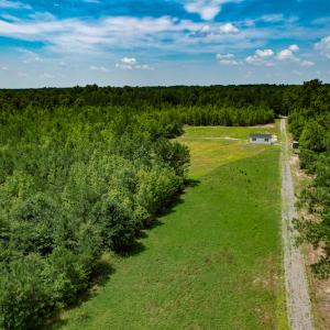 Photo #17 of SOLD property in Off Clifton Road, Beaverdam, VA 36.7 acres