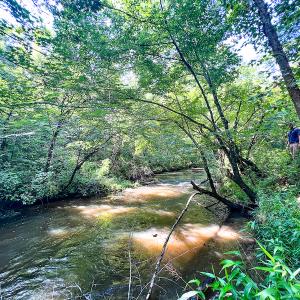 Photo #19 of SOLD property in Off Clifton Road, Beaverdam, VA 36.7 acres