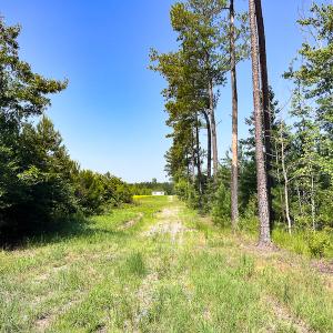 Photo #22 of SOLD property in Off Clifton Road, Beaverdam, VA 36.7 acres