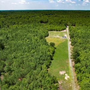 Photo #23 of SOLD property in Off Clifton Road, Beaverdam, VA 36.7 acres
