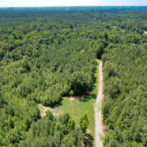 Photo #25 of SOLD property in Off Clifton Road, Beaverdam, VA 36.7 acres