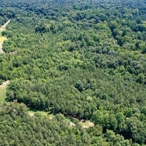 Photo #26 of SOLD property in Off Clifton Road, Beaverdam, VA 36.7 acres