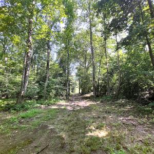 Photo #27 of SOLD property in Off Clifton Road, Beaverdam, VA 36.7 acres