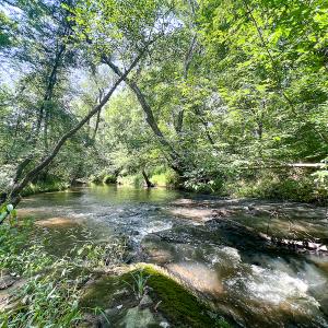 Photo #1 of SOLD property in Off Clifton Road, Beaverdam, VA 36.7 acres