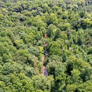 Photo #28 of SOLD property in Off Clifton Road, Beaverdam, VA 36.7 acres